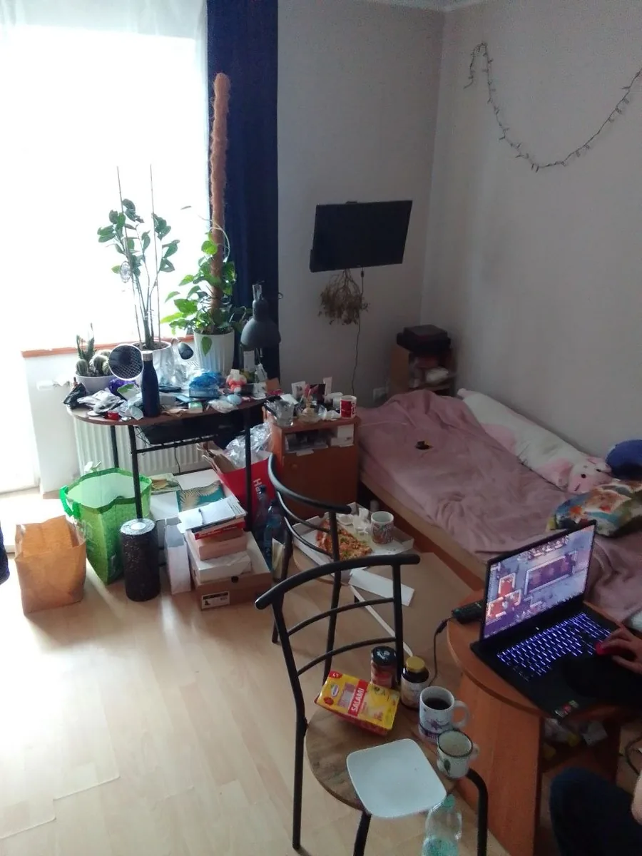 Phone photo — before